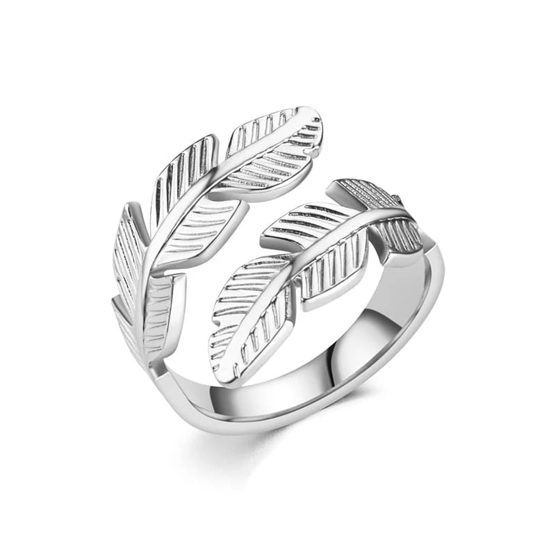 Verenring van titaniumstaal in zilver