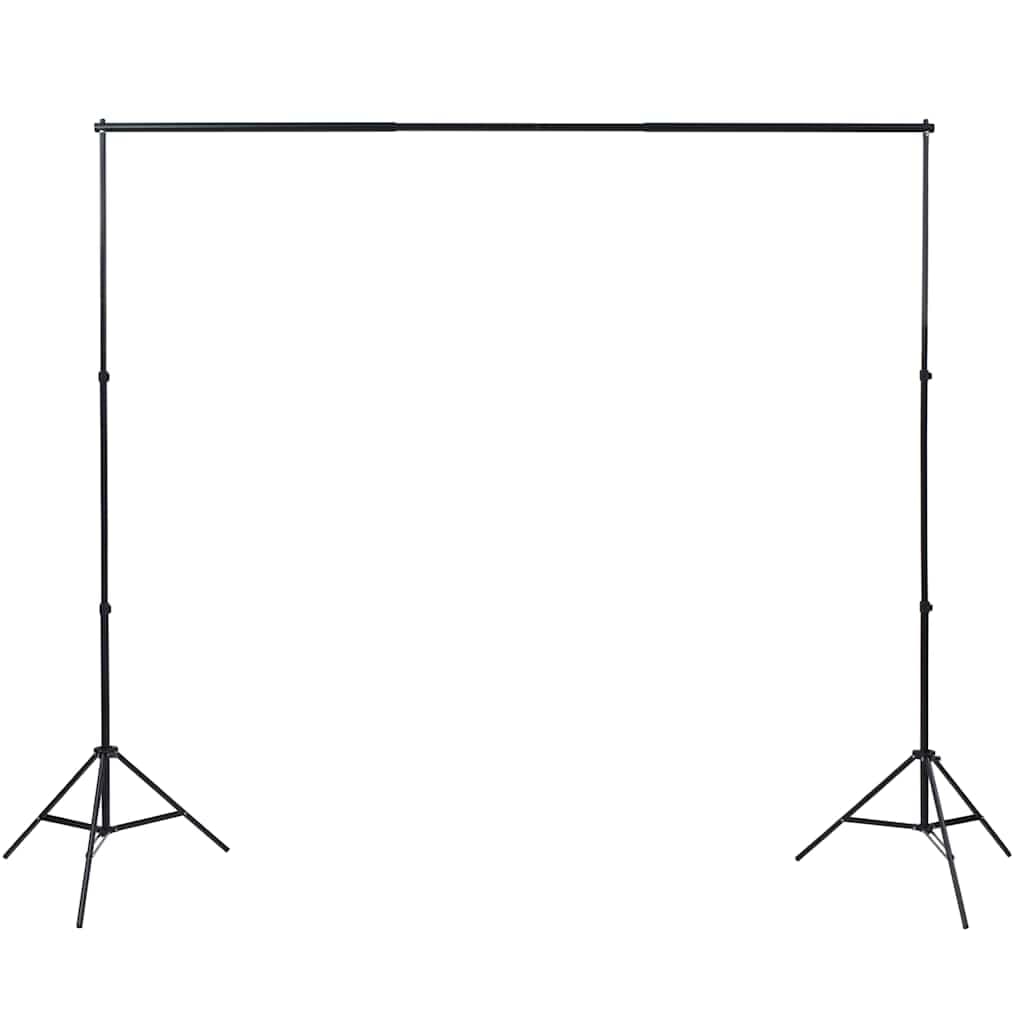 vidaXL Fotostudioset achtergrond softboxlamp - foto 4