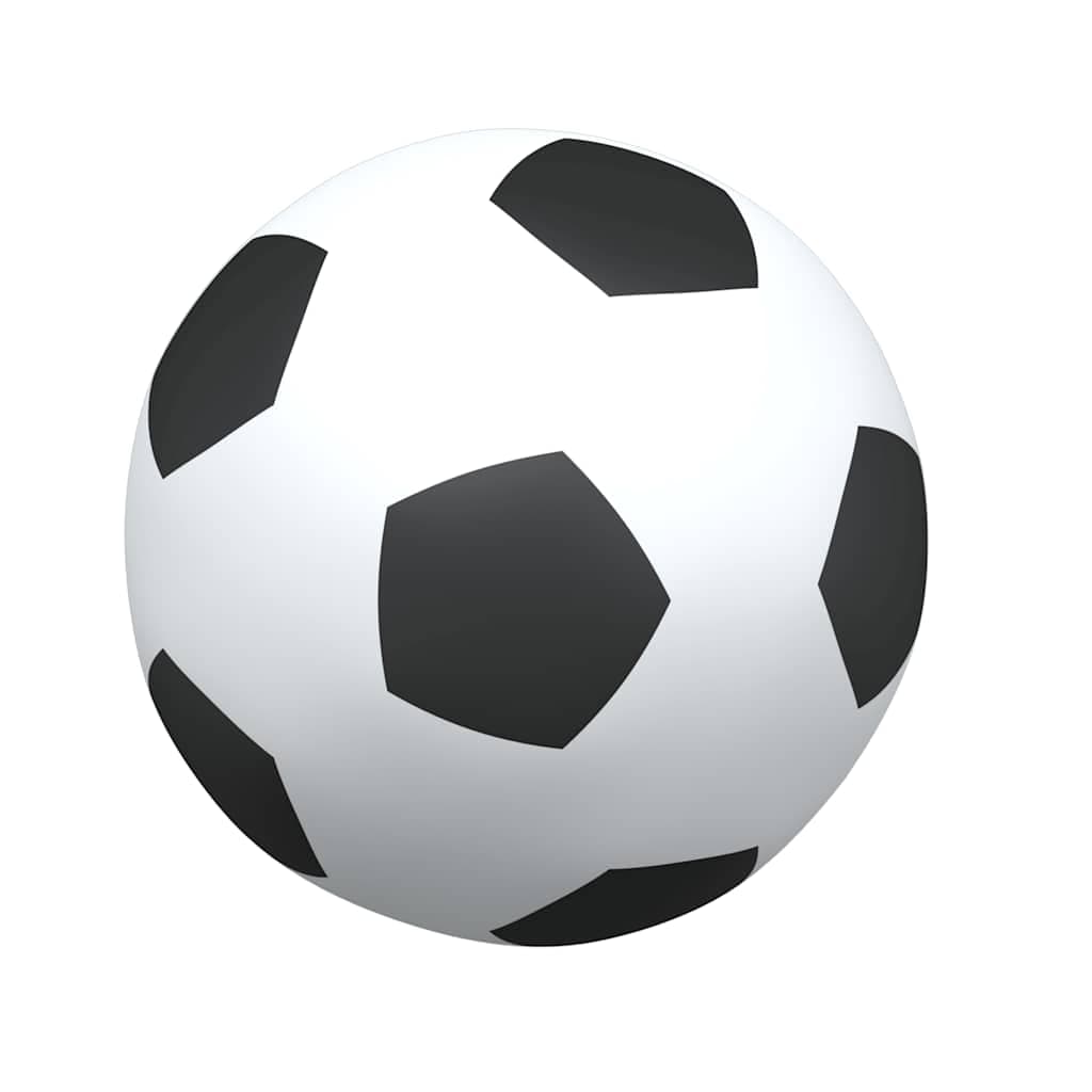 vidaXL Kindervoetbaldoel ballen 2-in-1 - foto 10
