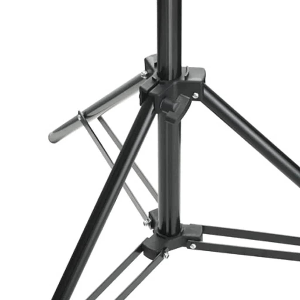 vidaXL Achtergrondsysteem telescopisch 155- - foto 5