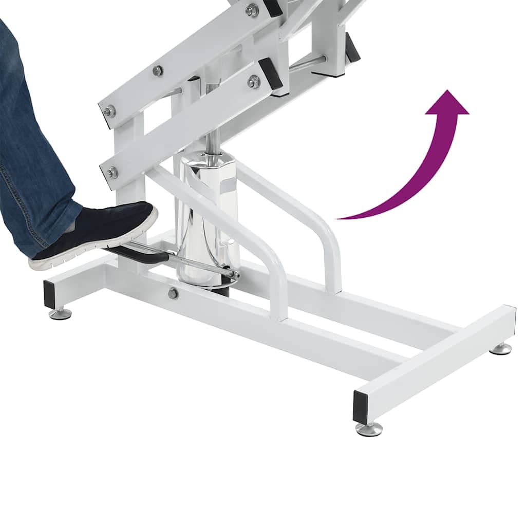 vidaXL Hydraulisch verstelbare trimtafel aanlijnoptie - foto 7